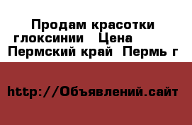 Продам красотки глоксинии › Цена ­ 130 - Пермский край, Пермь г.  »    